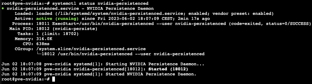 NVIDIA persistence service status